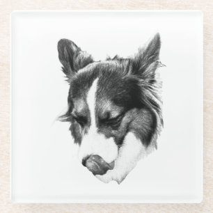 Quiet Canine Expression Glass Coaster