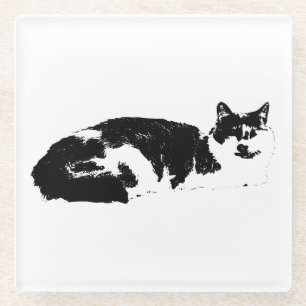 Quiet Companion Glass Coaster