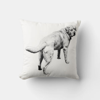 Quiet Company, Looking-Back Lab Cushion