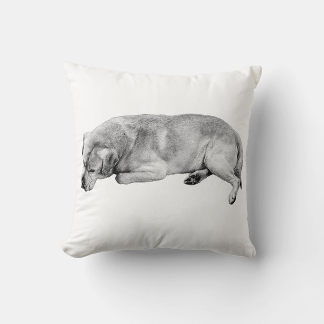 Quiet Corner, Whole Home Calm Cushion (Front)