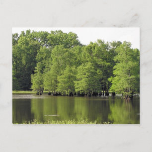 Quiet Cove Postcard