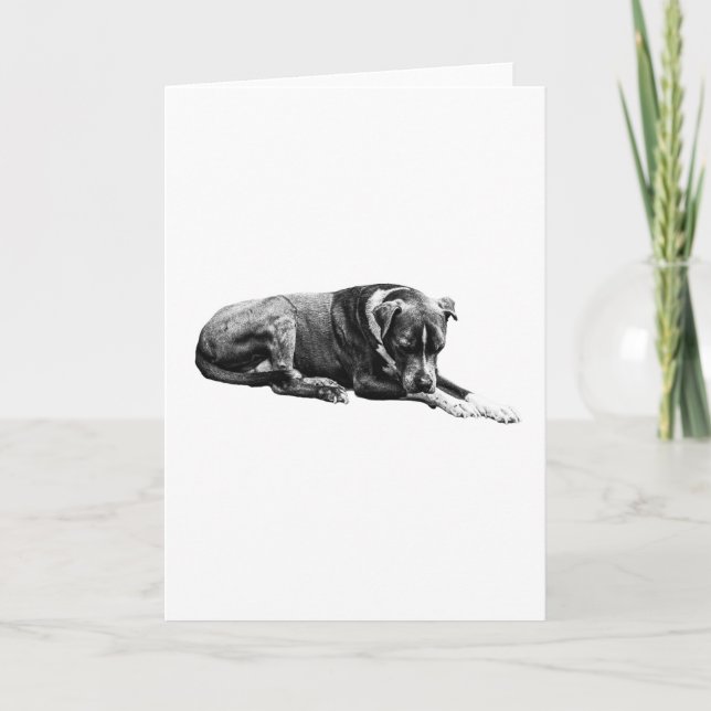 Quiet Gaze Dog Card (Front)