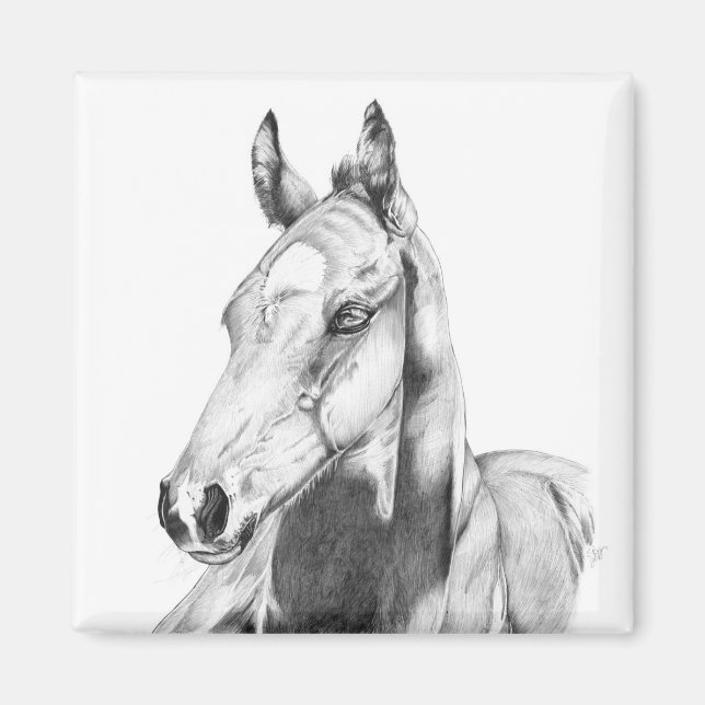 Quiet Gaze Magnet (Front)