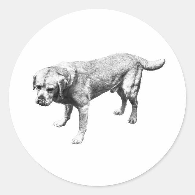 Quiet Lines of Loyalty Classic Round Sticker (Front)