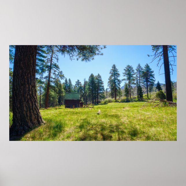 Quiet Meadow Refuge Forest Poster with Cabin (Front)