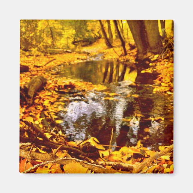 Quiet Reflection Magnet (Front)
