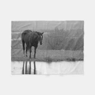 Quiet Reflectionz ~ Horse Blanket