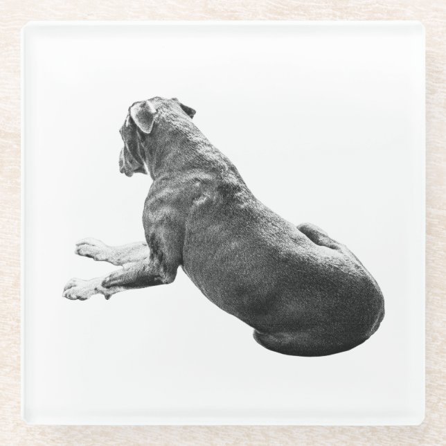 Quiet Table Companion Glass Coaster (Front)