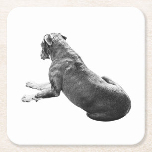 Quiet Table Companion Square Paper Coaster