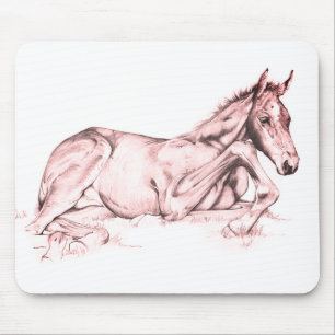 Quiet Time (salmon) Mouse Pad