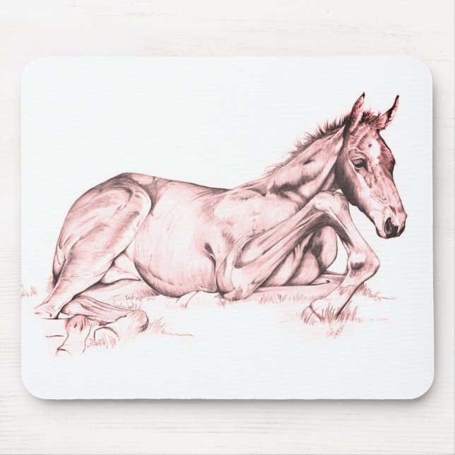 Quiet Time (salmon) Mouse Pad (Front)