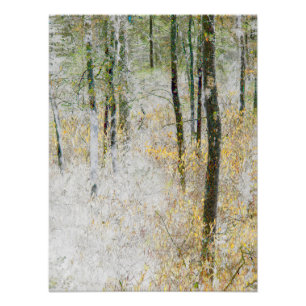 "Quiet" - Transformed photo of trees in a forest Print