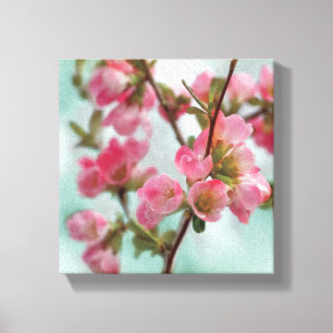Quince Blossoms Canvas Print