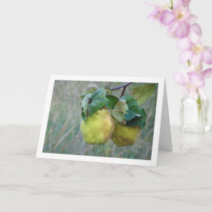Quince Fruit Card