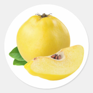 Quince fruits classic round sticker