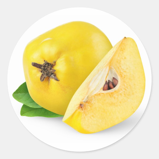 Quince fruits classic round sticker (Front)