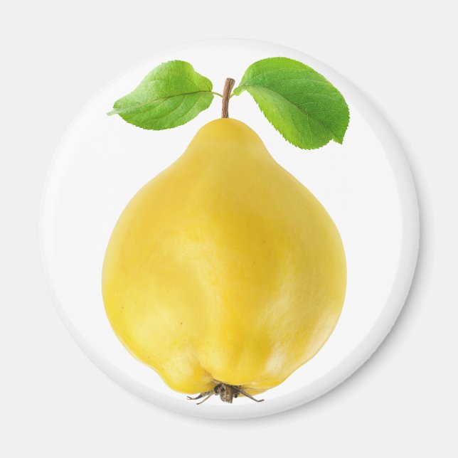 Quince fruits magnet (Front)