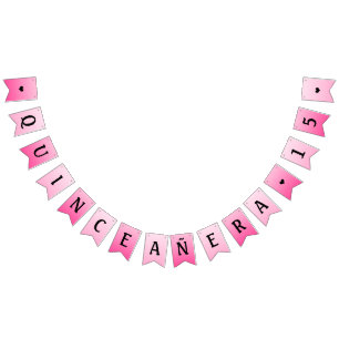 quinceanera party banner