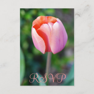 Quinceanera RSVP Pink Tulip 15th Birthday Card
