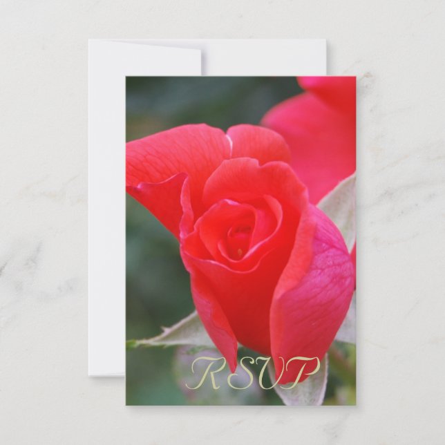 Quinceanera RSVP Red Rose (Front)