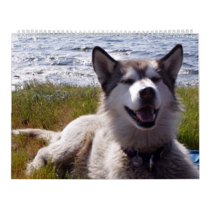 Quinn's Calendar 2007