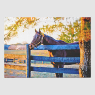 Quintessential Kentucky - Horse In Field  Tissue P Paper