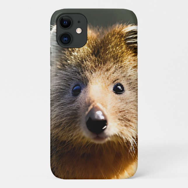 Quintin The Ginger Quokka,  Case-Mate iPhone Case (Back)