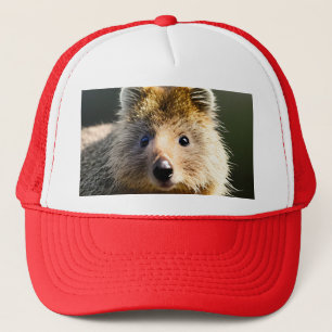 Quintin The Ginger Quokka, Truckers Hat