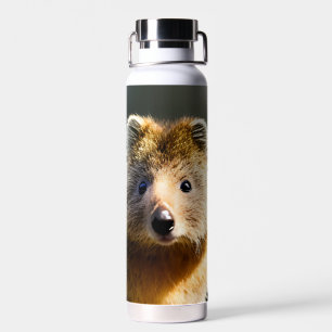 Quintin The Ginger Quokka,  Water Bottle