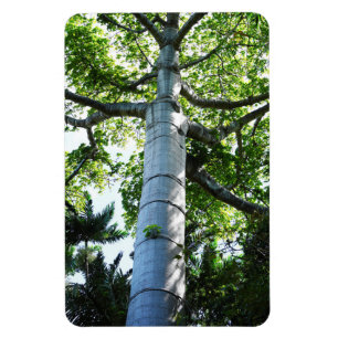Quipo Tree Photo Magnet