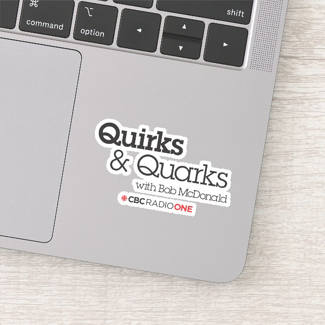 Quirks & Quarks Sticker (Detail)