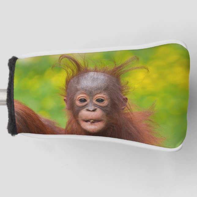 Quirky Charm of an Orangutan Baby Golf Head Cover (Front)
