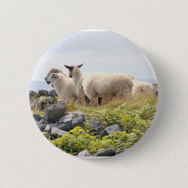 Quirky Designs - Sheep in a field 6 Cm Round Badge (Front)