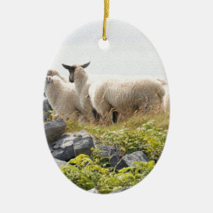 Quirky Designs - Sheep in a field Ceramic Tree Decoration