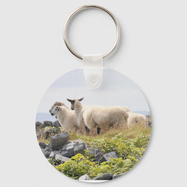Quirky Designs - Sheep in a field Key Ring (Front)