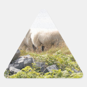 Quirky Designs - Sheep in a field Triangle Sticker