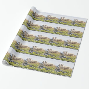 Quirky Designs - Sheep in a field Wrapping Paper