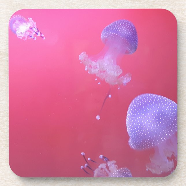 Quirky Jellyfish in the Pink Water Coaster (Front)