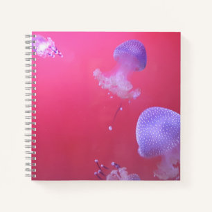 Quirky Jellyfish in the Pink Water Notebook