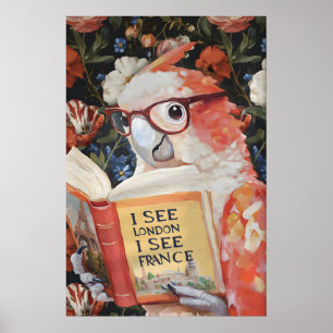 Quirky Parrot Bathroom Wall Art Print 'I See