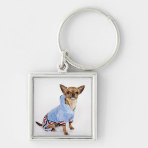 Quirky portrait of a Teacup Chihuahua 2 Key Ring