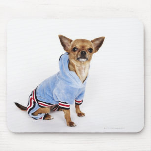 Quirky portrait of a Teacup Chihuahua 2 Mouse Pad