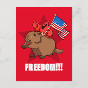 Quirky Red Cardinal & Groundhog Freedom! Cartoon Postcard