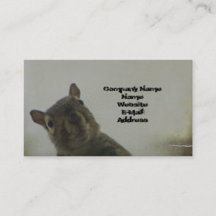 Quirky Squirrel Business Card