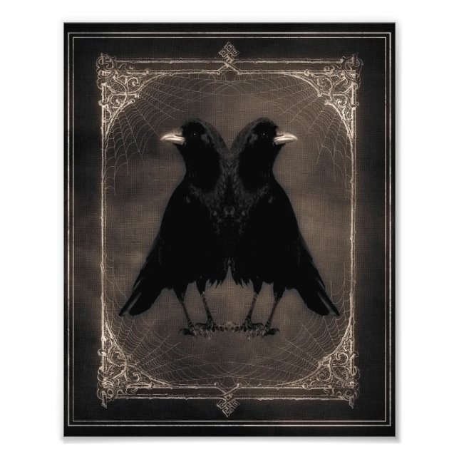 Quirky Twin Crows Photo Print (Front)