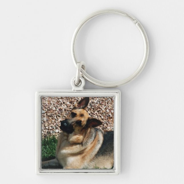 Quizzical German Shepherd Key Ring (Front)