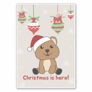 Quokka Christmas Snow Winter Animals Quokkas Stick