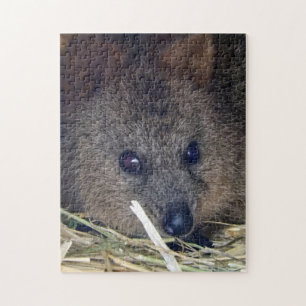 Quokka Jigsaw Puzzle