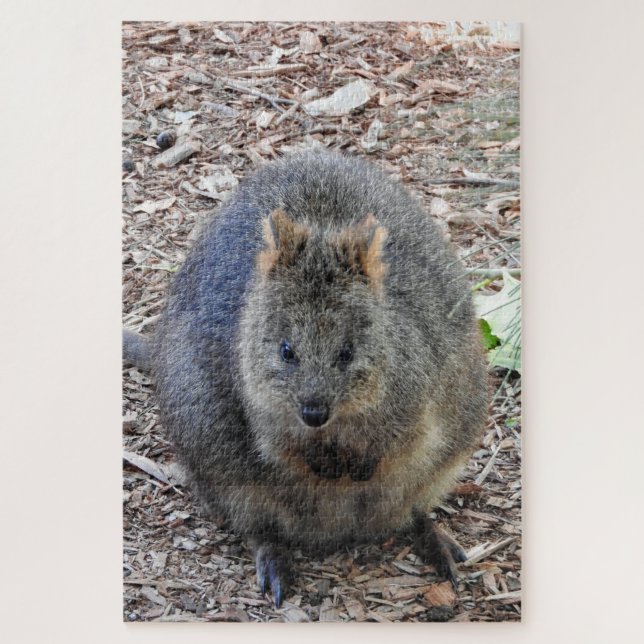 Quokka Jigsaw Puzzle (Vertical)