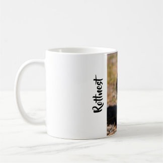 Quokka on Rottnest Island Coffee Mug